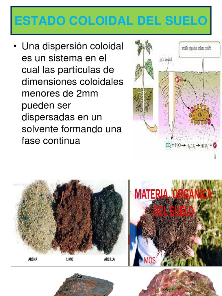 Estado Coloidal del Suelo y CIC | PDF | Coloide | Adsorción