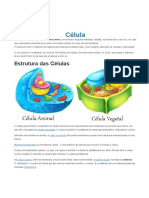 Estrutura e componentes da célula eucariota