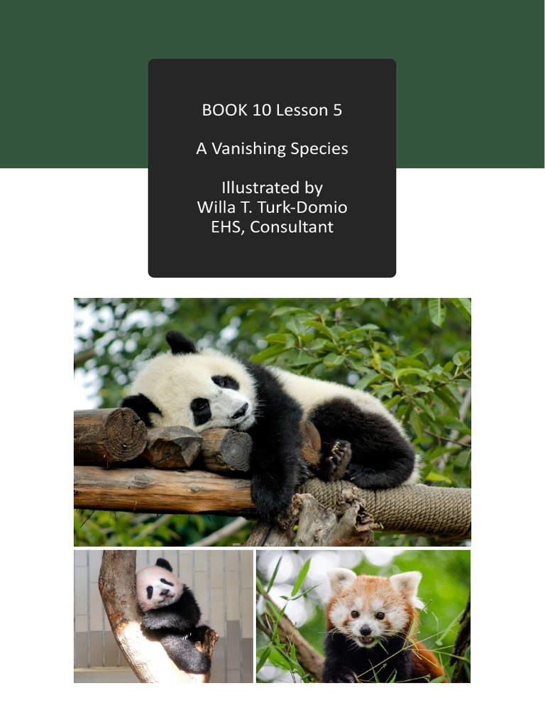 Book 10 Lesson 5 2023 PDF Giant Panda Poaching