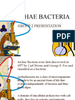 Archae Bacteria Group 2 Presentation