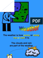 Weather