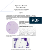 Reporte de Laboratorio