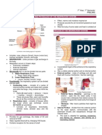 Anatomy and Physiology of The Respiratory System