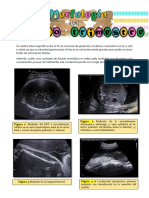 E R T Tri Es Se Un O: Figura 1: Medición Del DBP y Circunferencia Figura 2 Medición de La Circunferencia