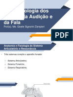 Morfofisiologia Dos Órgãos Da Audição e Da Fala: Prof (A) - Me. Gisele Signorini Zampieri