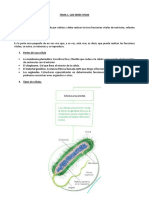 Tema 1 Naturaleza 6º