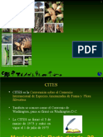 © Derechos de Autor Secretaría CITES 2005