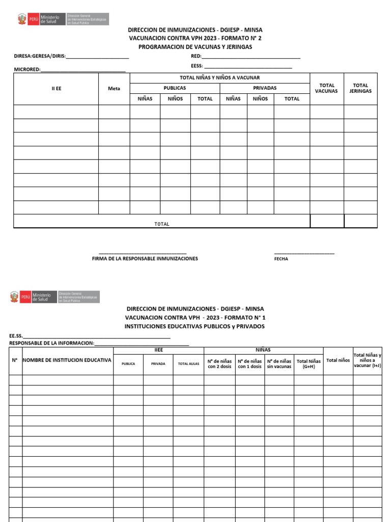 formatos-vph-pdf