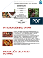 Producción Del Cacao