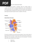 Anatomy and Physiology of The Cardiovascular System