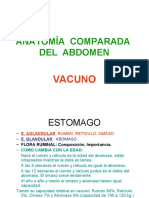 Anatomía comparada abdominal vacuno, equino y porcino