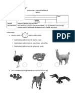 Prueba Ciencias 1°b