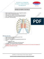 Myologie Du Rachis Et Du Thorax: I F M - K M