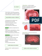 Insuficiência renal e alterações renais