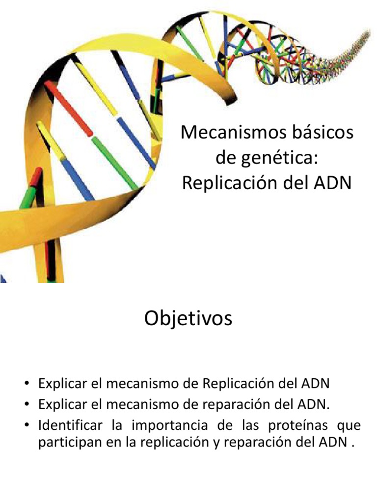 Clase 10 | PDF | Replicación De Adn | Adn