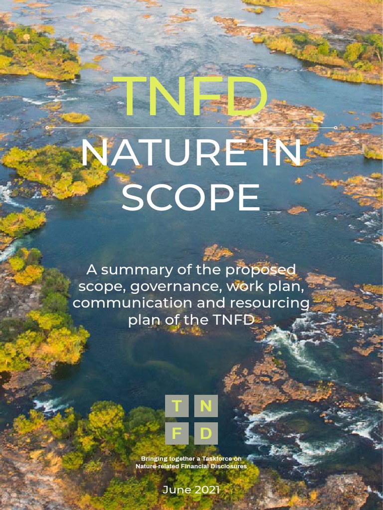 TNFD Nature in Scope Summary | PDF | Risk | Business