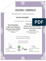 Completion Certificate - Professionals Working With Children