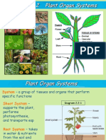 2.2 Plant Organ Systems