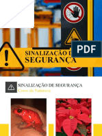 Sinalização De: Segurança