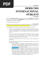 Internacional Público (Apuntes)
