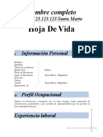 Plantilla Hoja de Vida