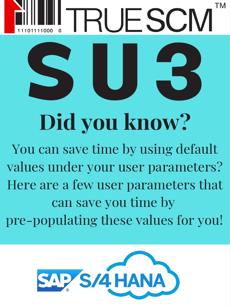 Optimizing User Parameters in SAP SU3 | PDF