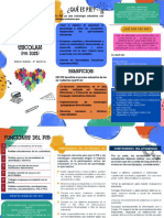 Programa de Integracion Escolar: ¿Qué Es Pie?