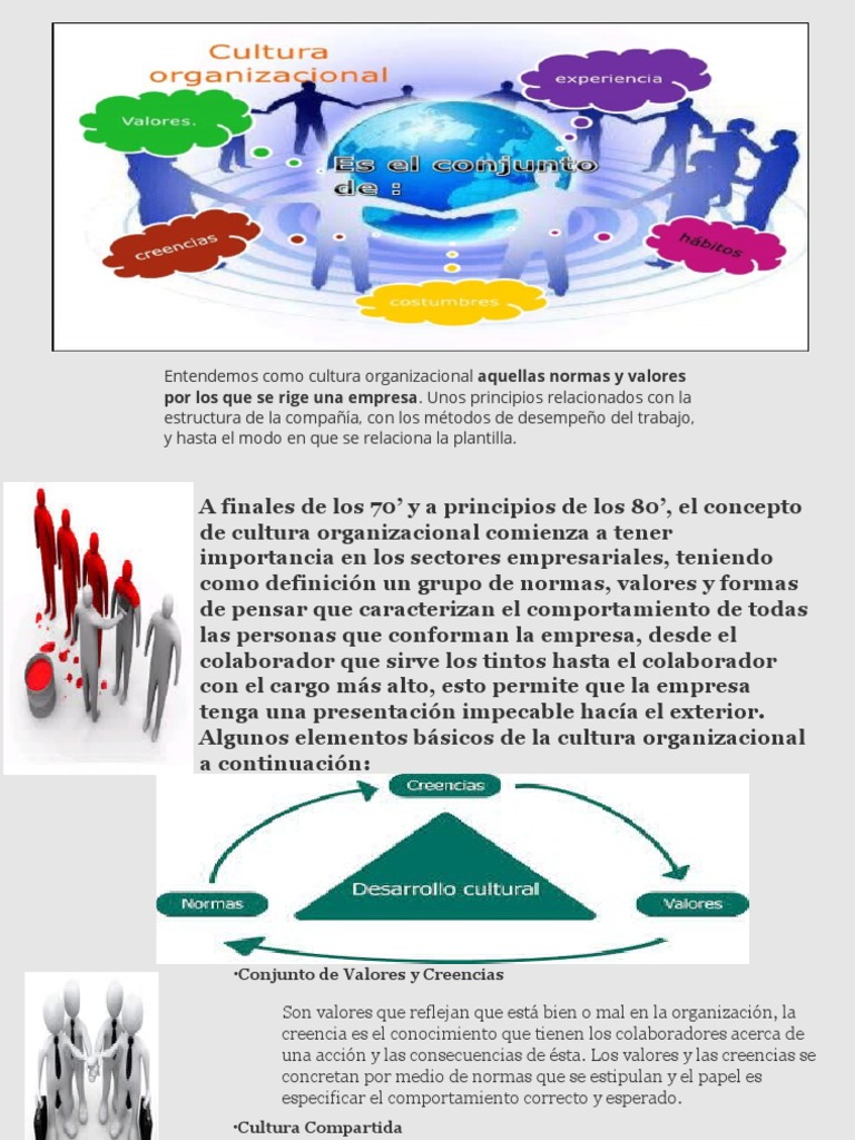 Cultura Organizacional | PDF | Cultura organizacional | Psicología ...