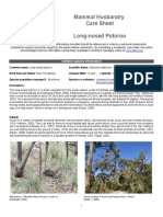 Mammal Husbandry Care Sheet Long-Nosed Potoroo: General Species Information