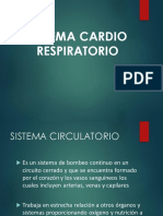Sistema Cardio Respiratorio