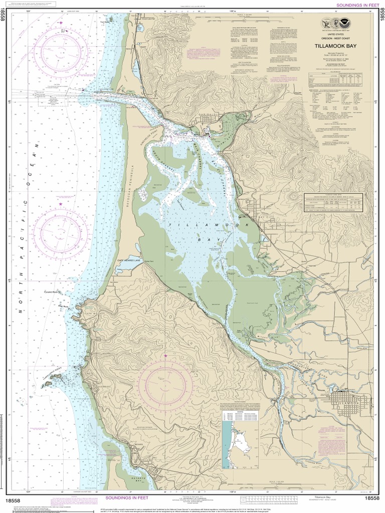 Nautical Chart Showing Tillamook Bay PDF