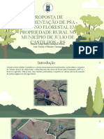 Implementação de PSA de Carbono Florestal em Propriedade Rural no RS