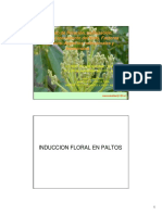 8.MARCO MATTAR - Proceso de Floración Palto