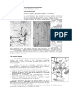 Funcionamiento Del Sistema Nervioso2-1