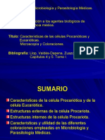 Asignatura: Microbiología y Parasitología Médicas. Tema 1: Introducción A Los Agentes Biológicos de