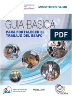 8.Guia basica para fortalecer el trabajo del ESAFC 2019