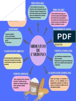 Hidratos de Carbono