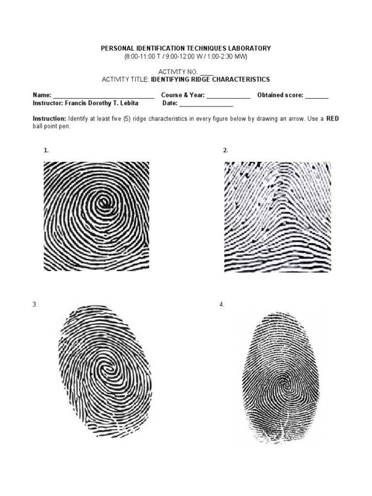 Ridge Characteristics Identification Lab | PDF | Games & Activities ...