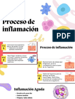 Tipos y Procesos de Inflamación