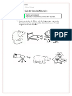 GUIA Ciencias Naturales 4