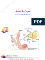 Arco Reflejo: Prof. Hermilio Diaz Rome