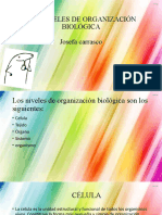 Los Niveles de Organización Biologica