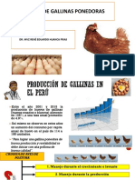 Crianza de Gallinas Ponedoras: Dr. MVZ René Eduardo Huanca Frias