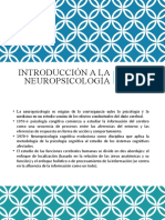 Introducción a la Neuropsicología para Terapeutas Ocupacionales