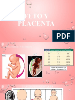 Feto Y Placenta