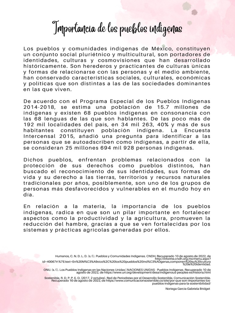 Importancia de los Pueblos Indígenas en México | PDF | Sustentabilidad ...