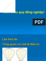 Lao Hoa da-BS Hao