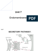 Unit 7: Endomembranes