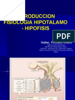 Introduccion Fisiologia Hipotalamo - Hipofisis: Walter, Ponciano Rivera