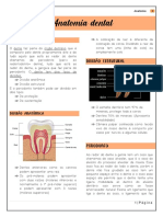 Anatomia dental